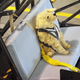 Illustration for article titled Study Shows Many Pet Car Safety Restraints To Be Unsafe